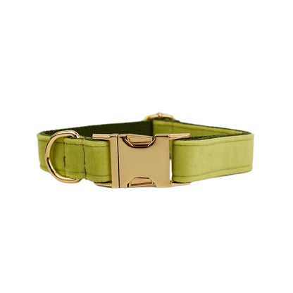 Collier vert olive pour chien en velours avec nœud papillon et gravure.