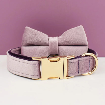Collier violet pour chien en velours avec nœud papillon assorti.