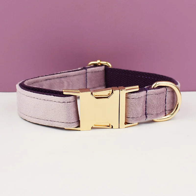Collier violet pour chien en velours avec bouclerie dorée.