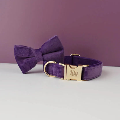 Collier violet foncé pour chien en velours avec nœud papillon assorti.