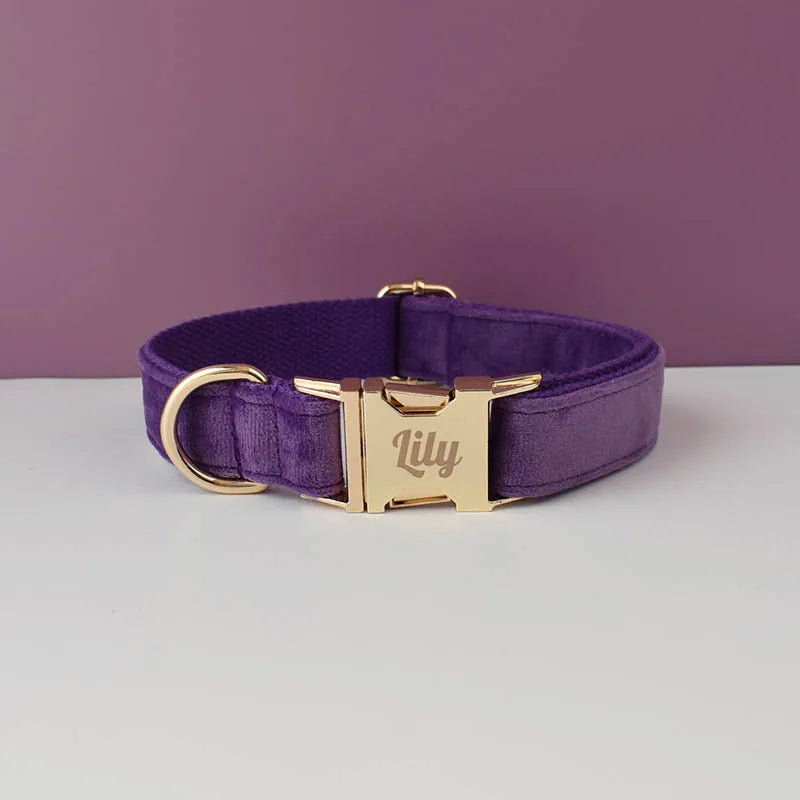Collier violet foncé pour chien en velours avec bouclerie dorée.