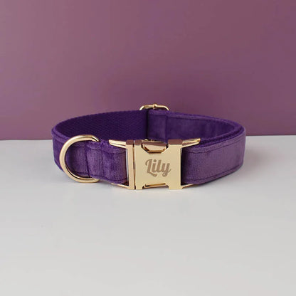 Collier violet foncé pour chien en velours avec bouclerie dorée.