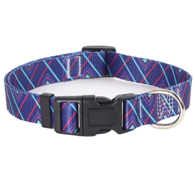 Collier pour chien en nylon violet avec motifs chevrons et diagonales turquoise et roses et mousqueton métal argenté sur fond clair.