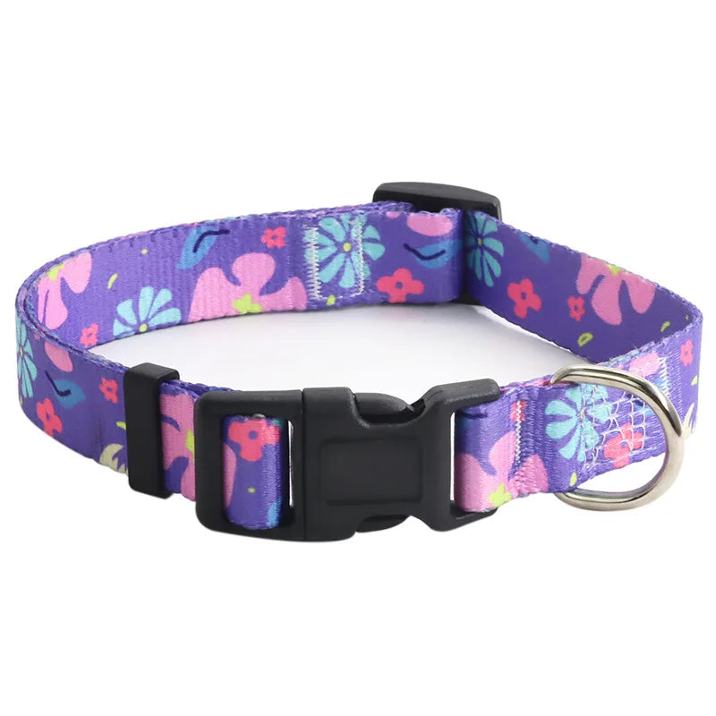 Collier pour chien en nylon violet avec motifs fleurs roses, bleues et turquoise  et mousqueton métal argenté sur fond clair.