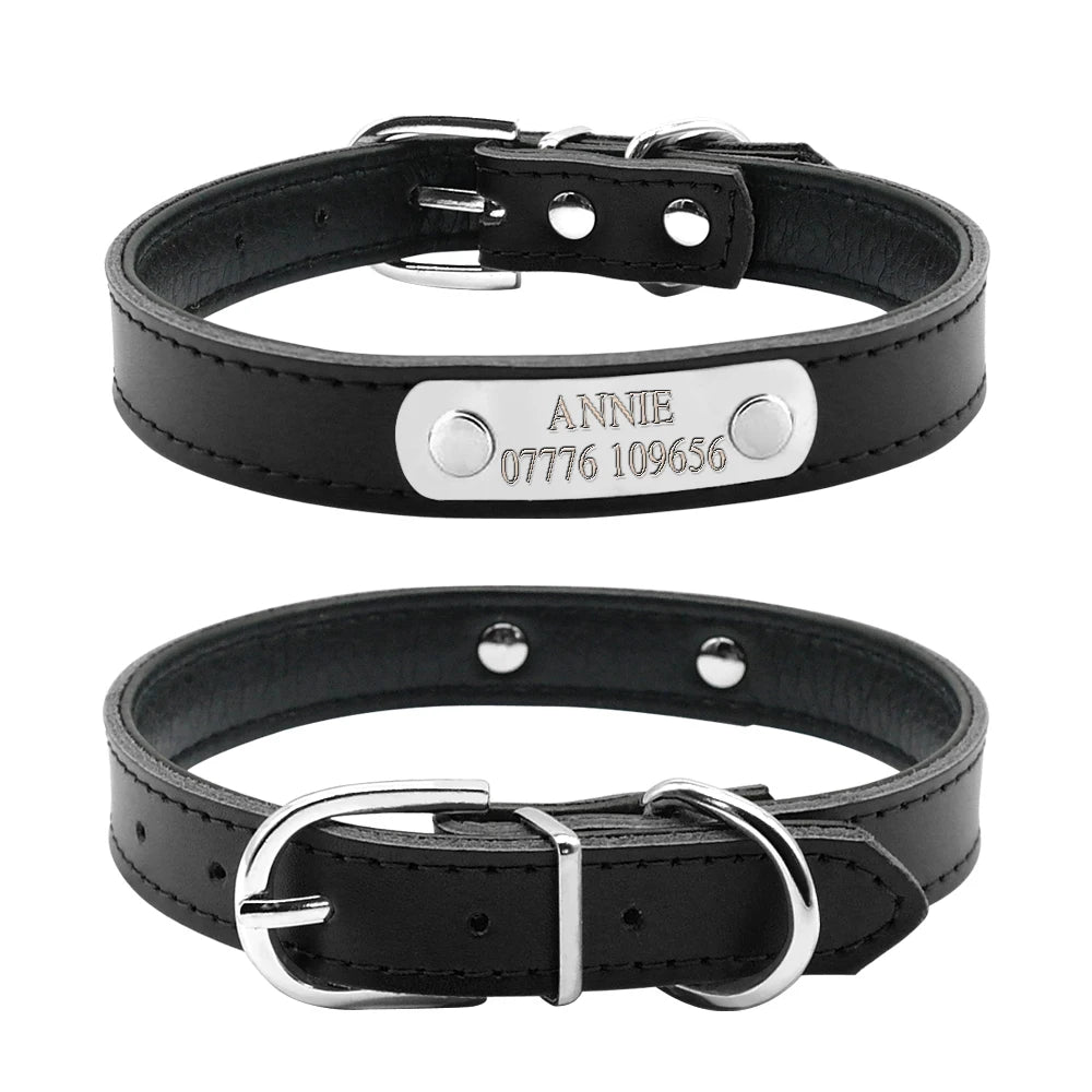 Vue avant et arrière d’un collier noir pour chiot avec plaque gravée sur fond blanc.