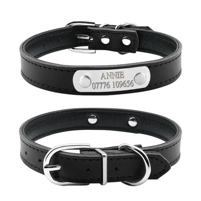 Vue avant et arrière d’un collier noir pour chiot avec plaque gravée sur fond blanc.