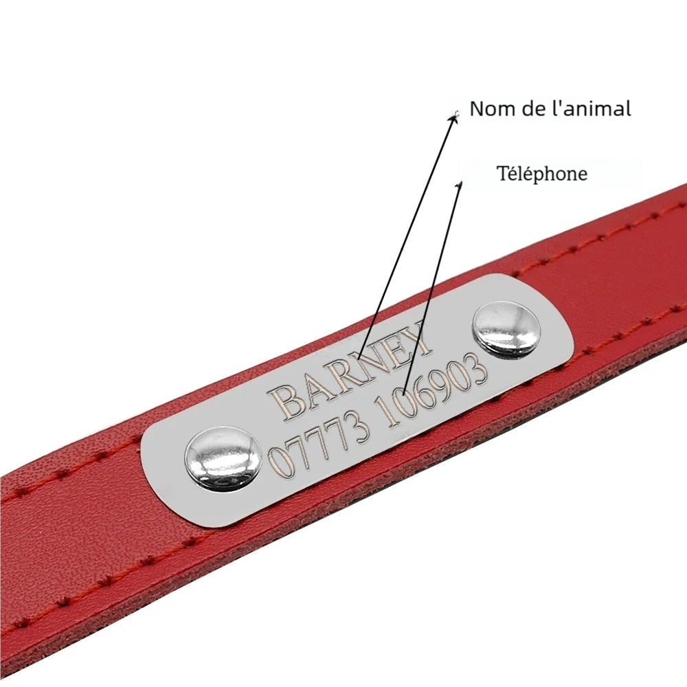 Gros plan sur une plaque gravée fixée sur un collier rouge pour chiot.
