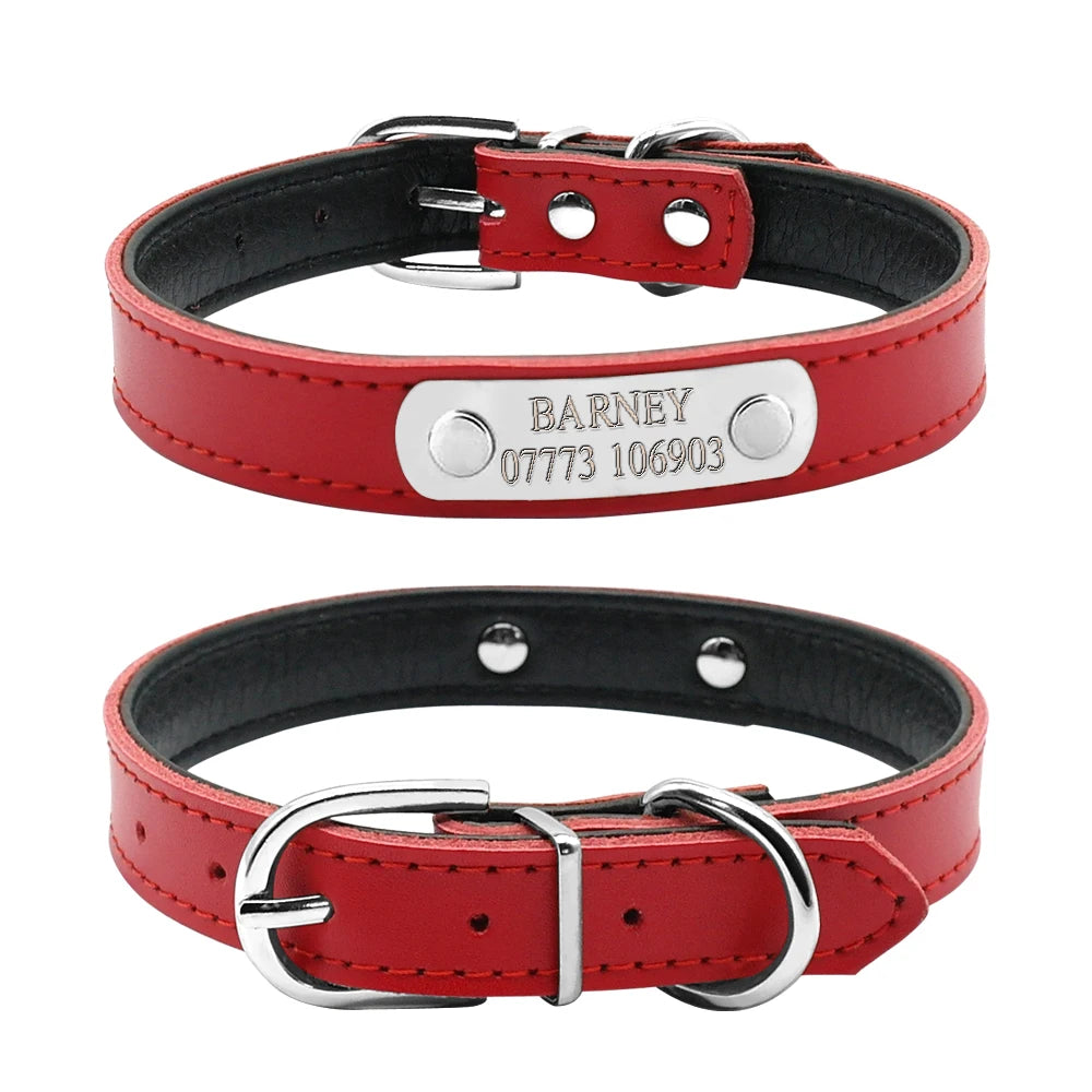 Vue avant et arrière d’un collier rouge pour chiot avec plaque gravée sur fond blanc.