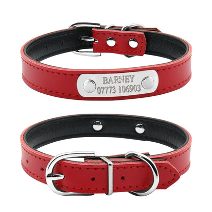 Vue avant et arrière d’un collier rouge pour chiot avec plaque gravée sur fond blanc.