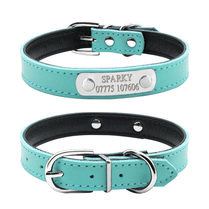 Vue avant et arrière d’un collier turquoise pour chiot avec plaque gravée sur fond blanc.