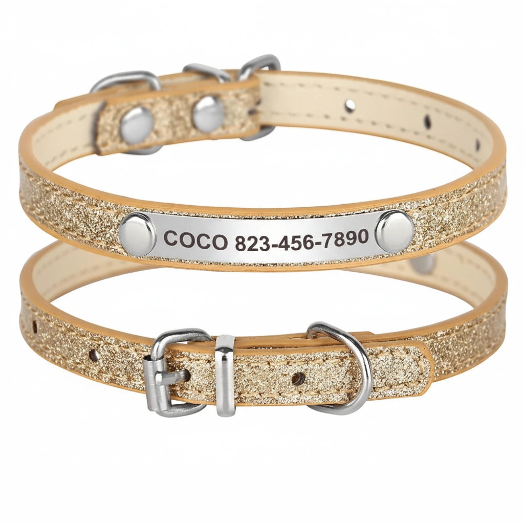 Collier doré pailleté pour chiot avec plaque gravée et boucle métallique présenté de dos et de face sur fond blanc.