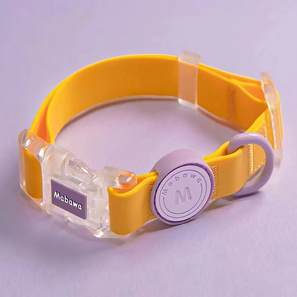 Collier chiot jaune et violet avec boucle transparente sur fond violet.