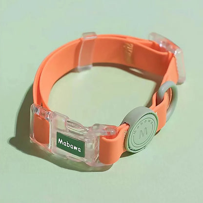 Collier chiot orange et vert avec boucle transparente sur fond vert.