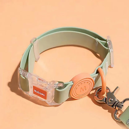 Collier chiot vert et orange avec boucle transparente sur fond orange.