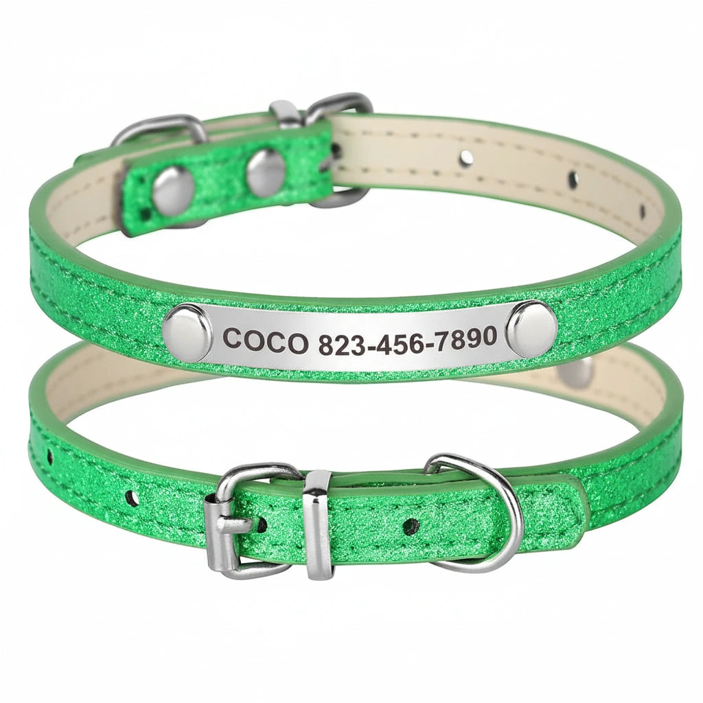 Collier vert pailleté pour chiot avec plaque gravée et boucle métallique présenté de dos et de face sur fond blanc.