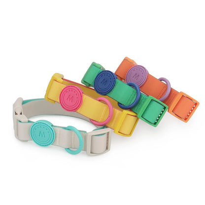 Ensemble de quatre colliers chiot waterproof en couleurs pastel sur fond blanc.