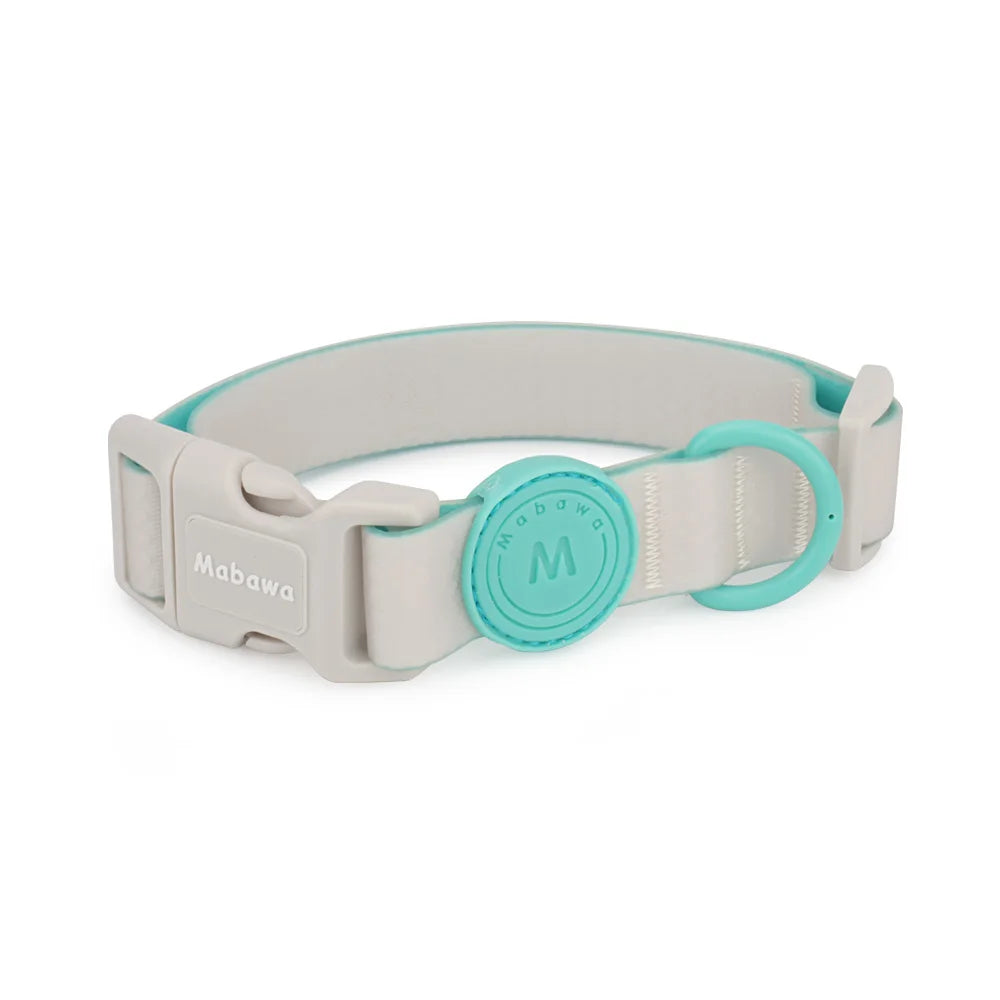Collier waterproof réglable pour petit chien en gris avec anneau bleu turquoise sur fond blanc.