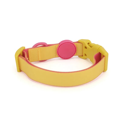Vue arrière d’un collier chiot waterproof jaune et rose.