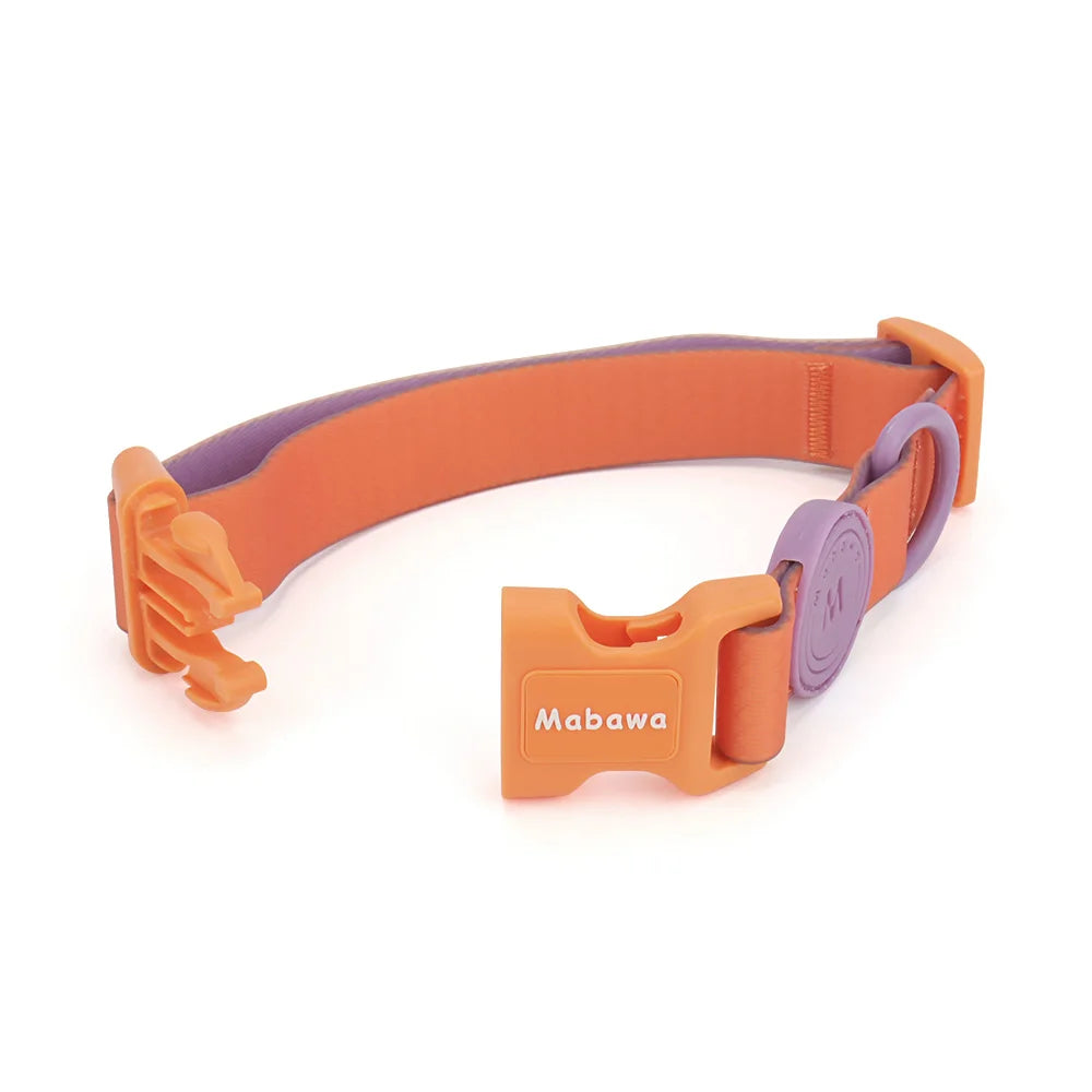 Collier chiot waterproof orange et violet présenté ouvert sur fond blanc.
