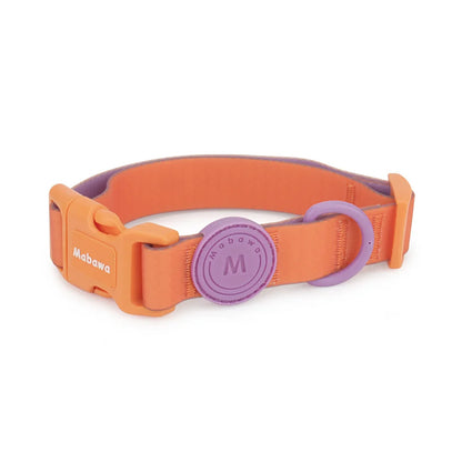 Collier waterproof réglable pour petit chien en orange avec anneau violet sur fond blanc.