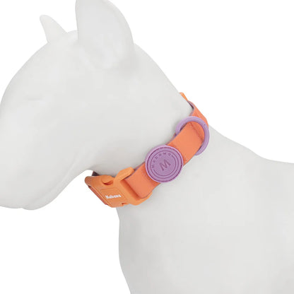 Collier chiot waterproof orange et violet porté sur un mannequin blanc de chien.