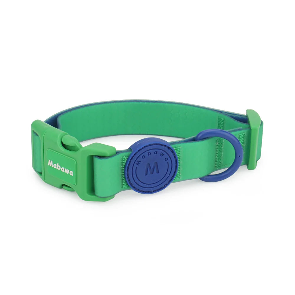 Collier waterproof réglable pour petit chien en vert pastel avec anneau bleu sur fond blanc.