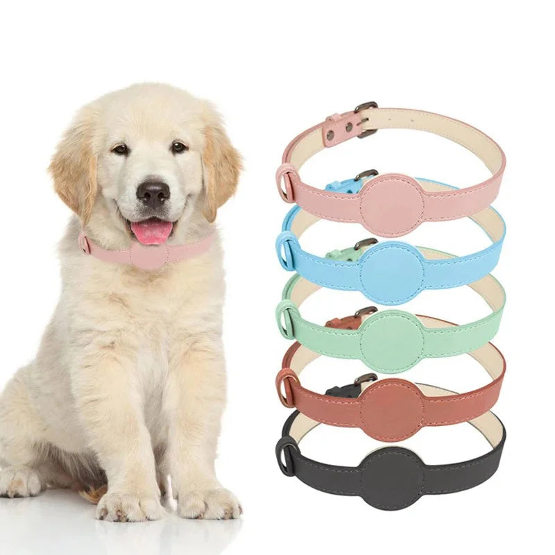Chiot portant un collier fin en cuir rose compatible AirTag avec plusieurs coloris présentés à côté.