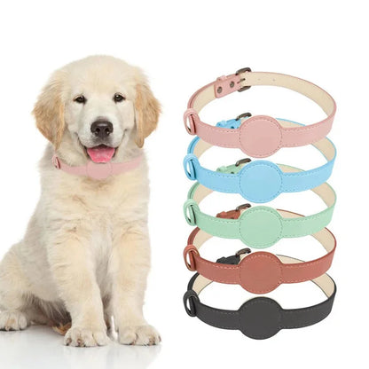 Chiot portant un collier fin en cuir rose compatible AirTag avec plusieurs coloris présentés à côté.