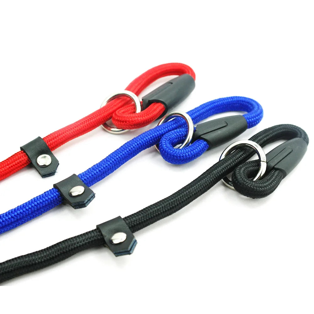 Vue rapprochée de trois laisses-colliers coulissantes pour chien en nylon tressé rouge, bleu et noir.