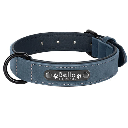 Collier en cuir bleu pour chien avec plaque d'identification noire gravée sur fond blanc.