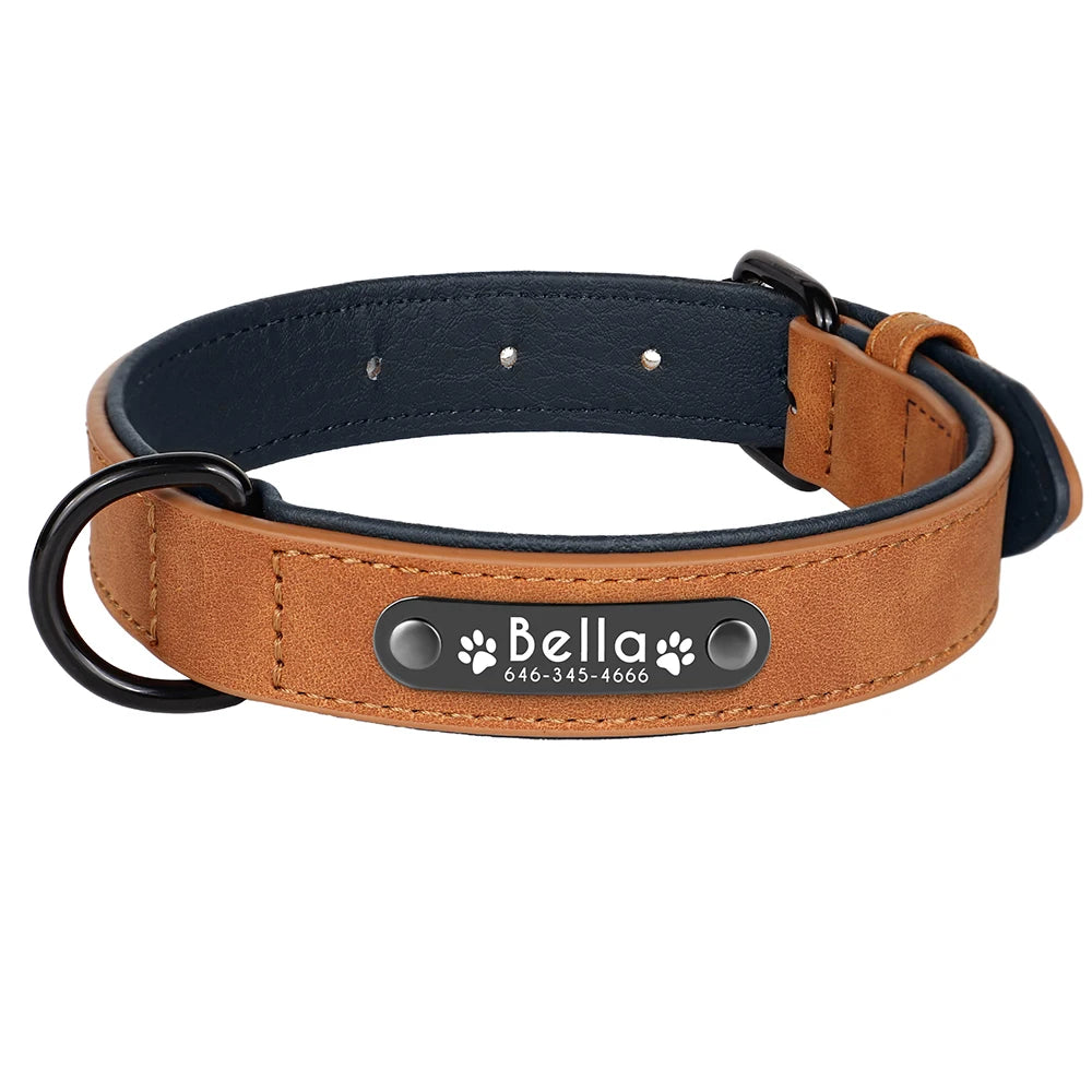Collier en cuir camel pour chien avec plaque d'identification noire gravée sur fond blanc.