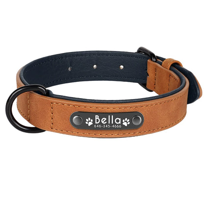 Collier en cuir camel pour chien avec plaque d'identification noire gravée sur fond blanc.