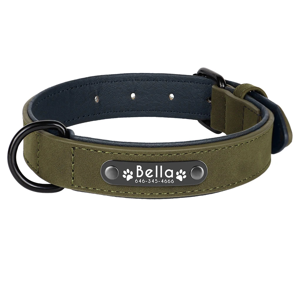 Collier en cuir kaki pour chien avec plaque d'identification noire gravée sur fond blanc.
