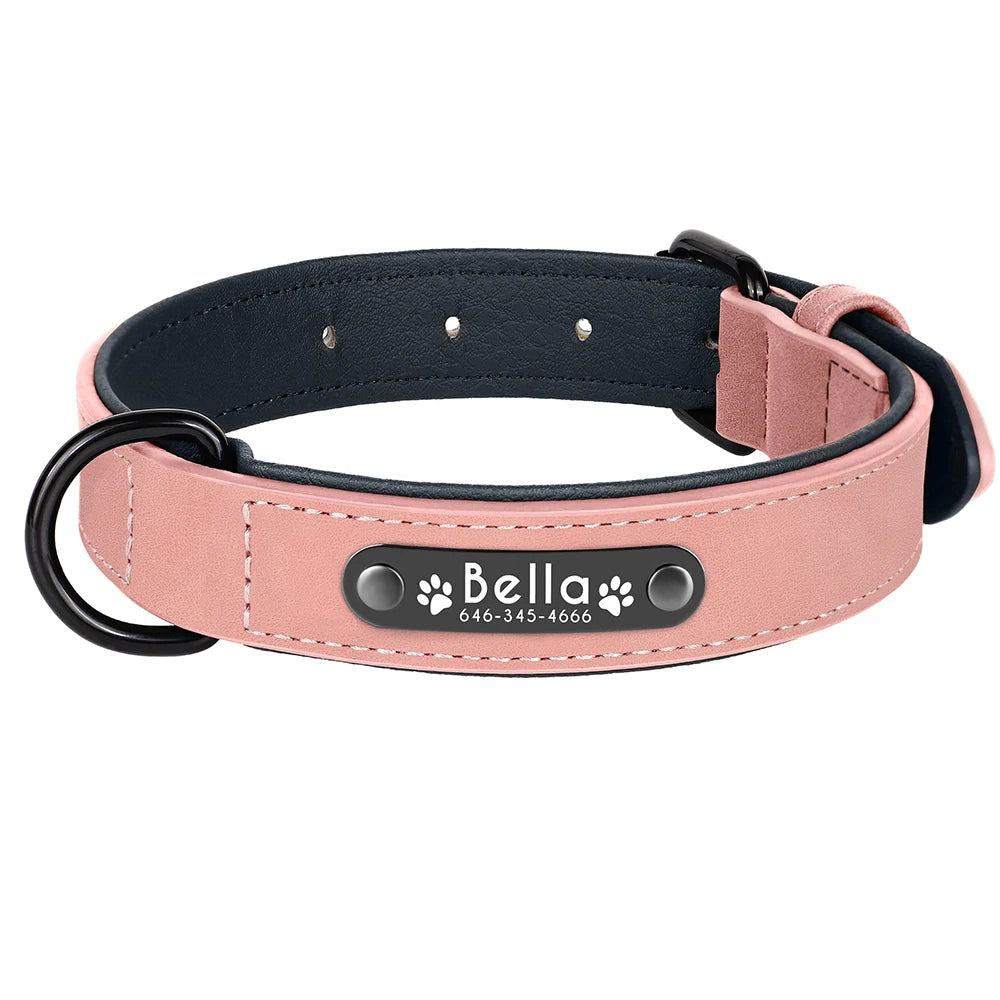 Collier en cuir rose pour chien avec plaque d'identification noire gravée sur fond blanc.