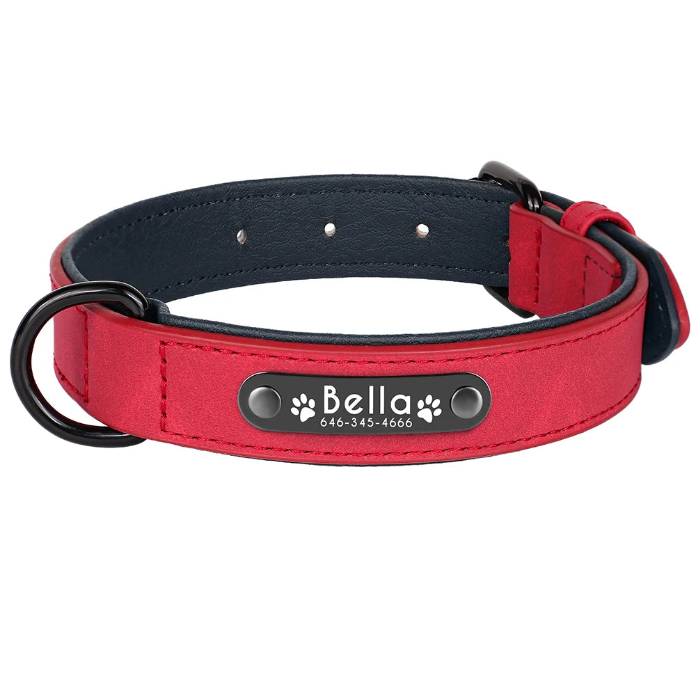 Collier en cuir rouge pour chien avec plaque d'identification noire gravée sur fond blanc.