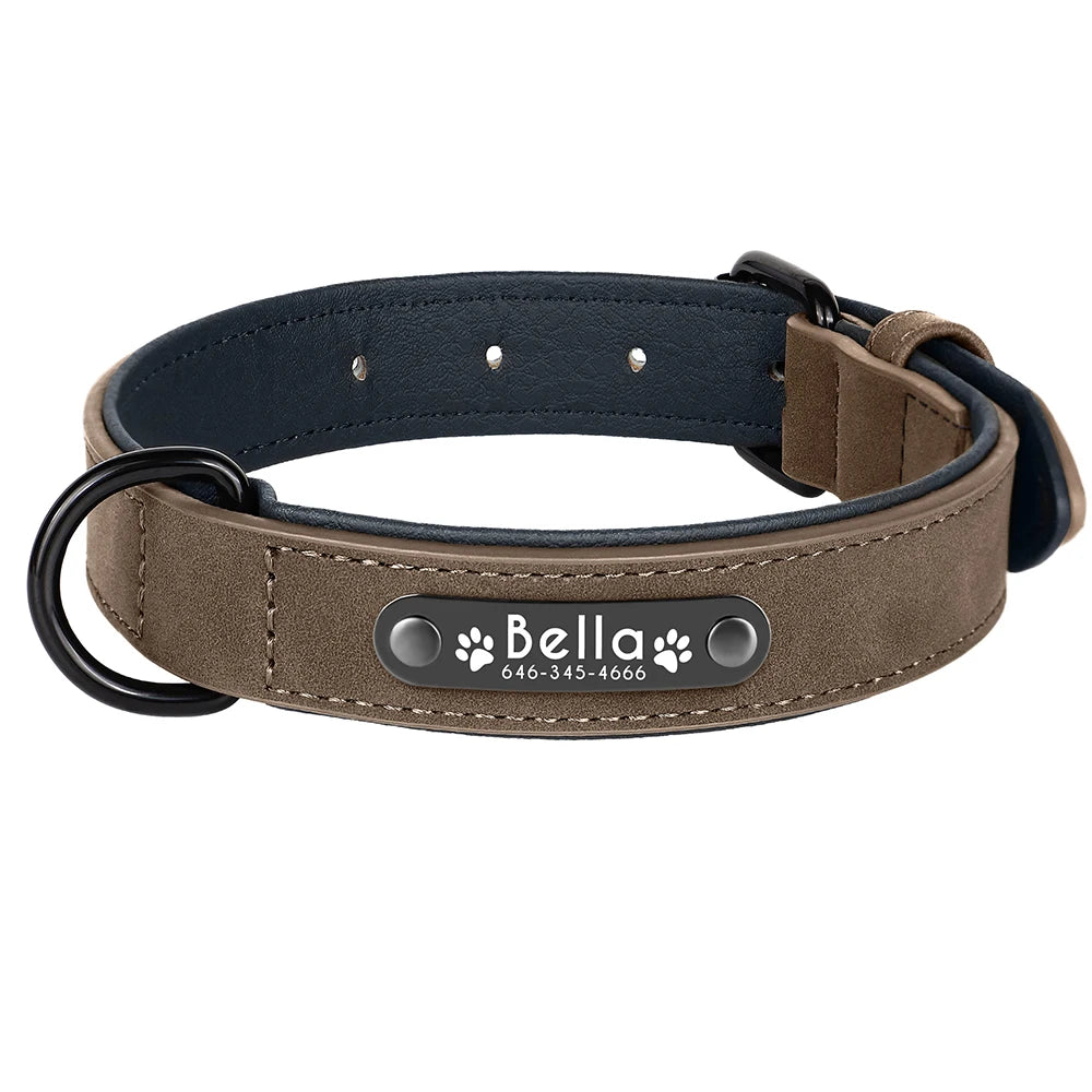Collier en cuir taupe pour chien avec plaque d'identification noire gravée sur fond blanc.