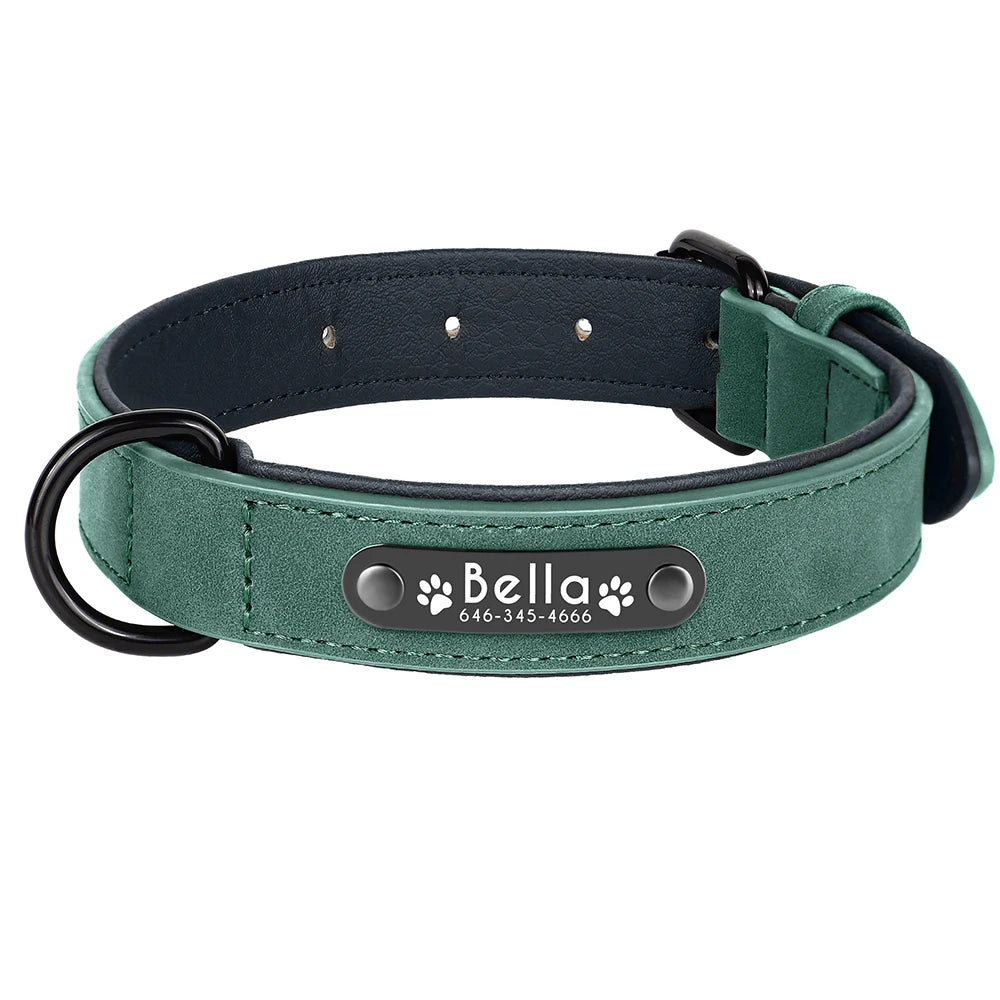 Collier en cuir vert d’eau pour chien avec plaque d'identification noire gravée sur fond blanc.