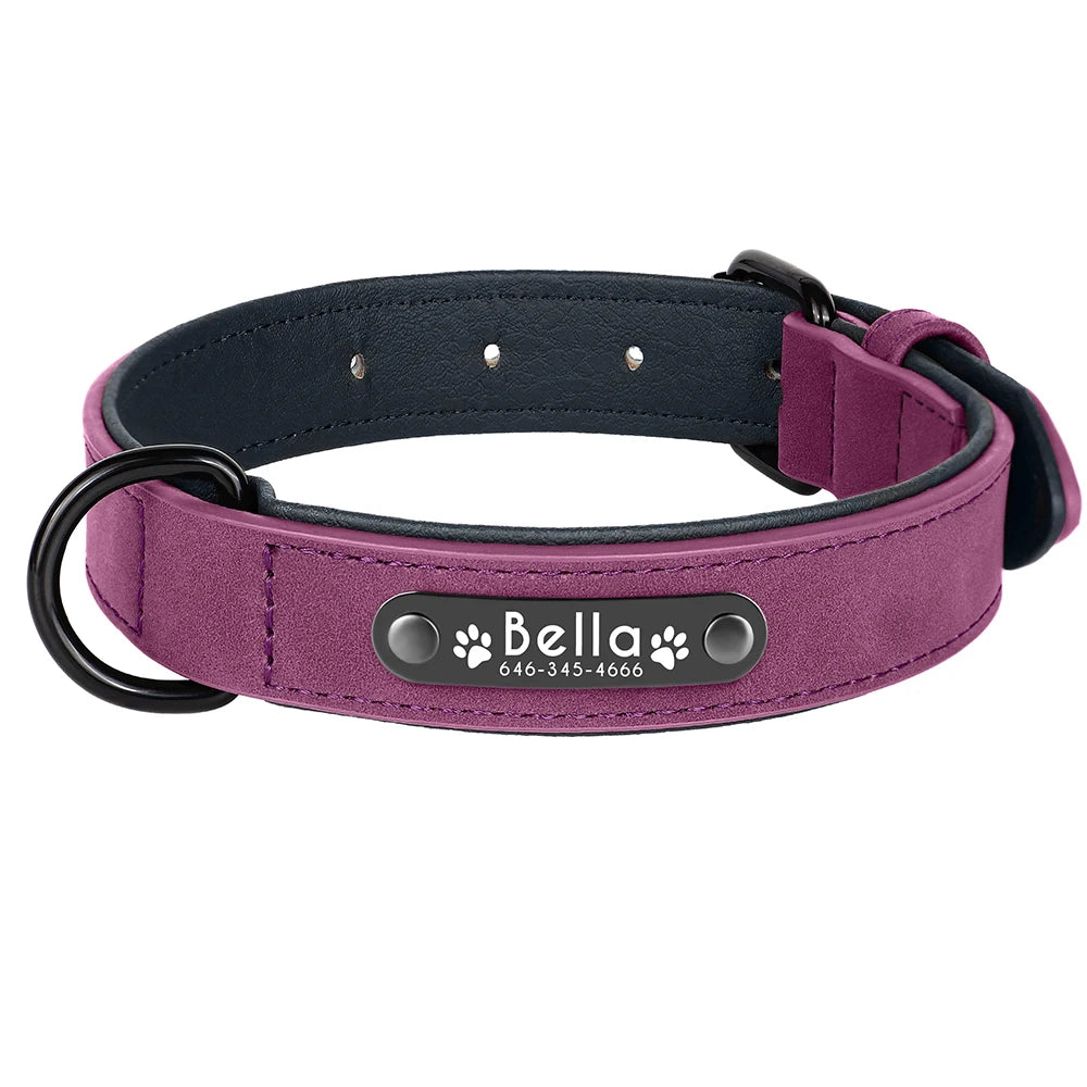Collier en cuir violet pour chien avec plaque d'identification noire gravée sur fond blanc.