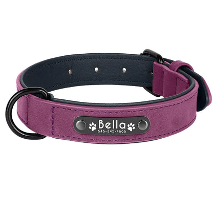 Collier en cuir violet pour chien avec plaque d'identification noire gravée sur fond blanc.
