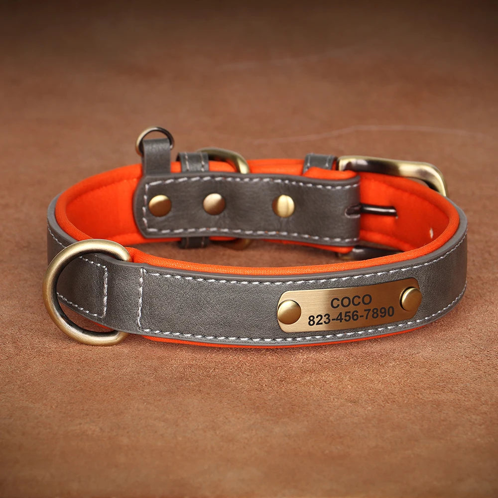 Collier en cuir gris pour chien avec plaque gravée dorée sur fond brun.