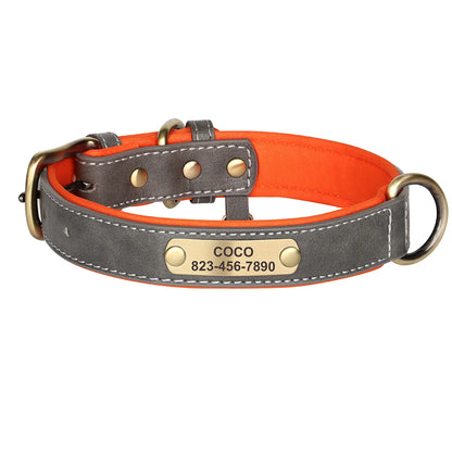 Collier en cuir fin gris pour chien avec plaque gravée dorée et doublure orange sur fond blanc.