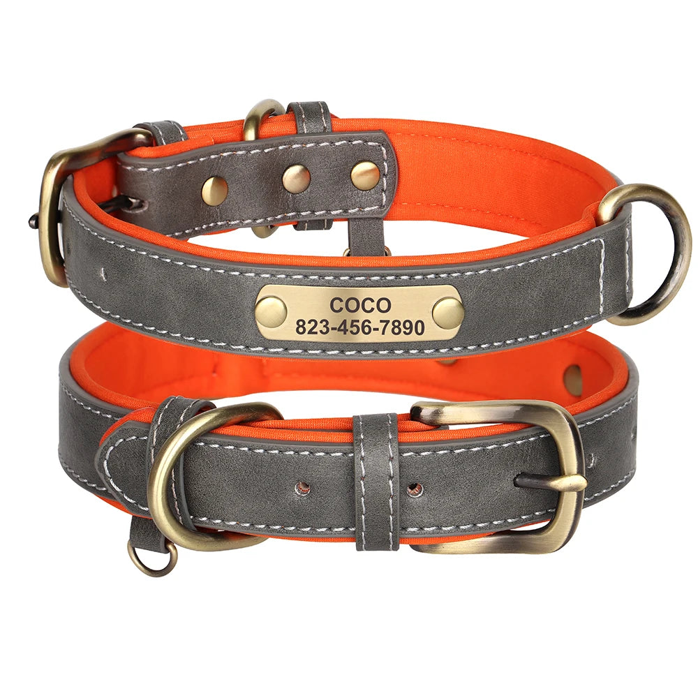 Collier en cuir gris pour chien avec doublure orange et plaque gravée doré sur fond blanc.