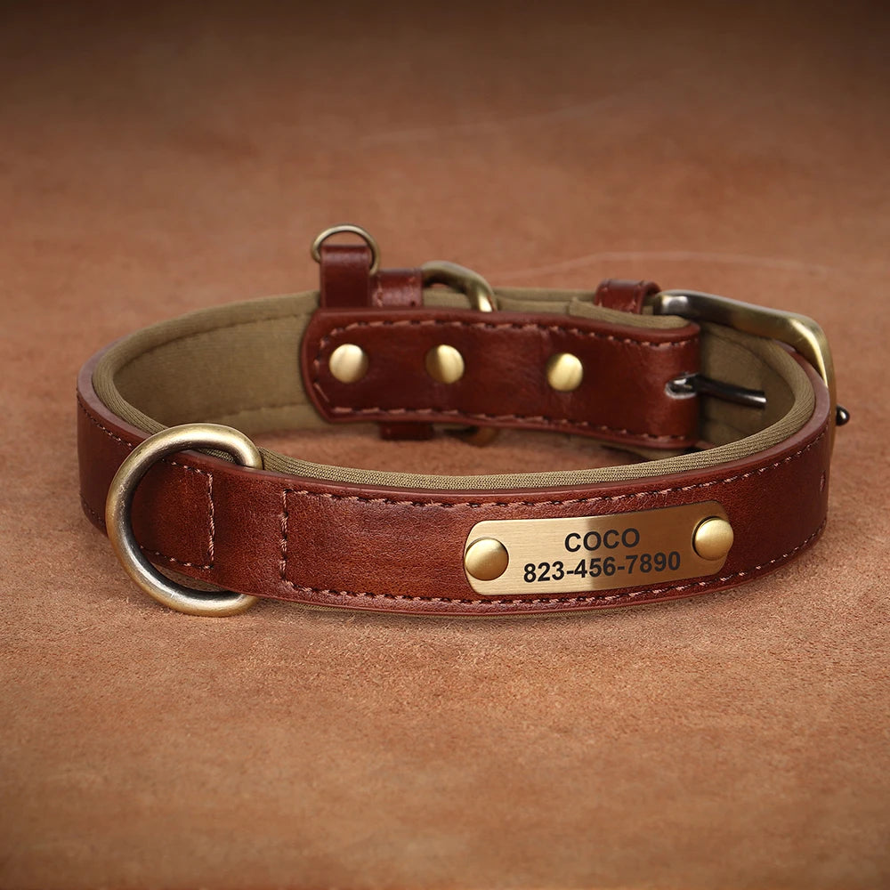 Collier en cuir marron pour chien avec plaque gravée dorée présenté sur fond brun.