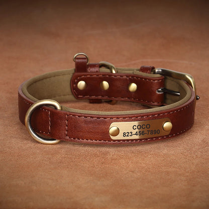 Collier en cuir marron pour chien avec plaque gravée dorée présenté sur fond brun.