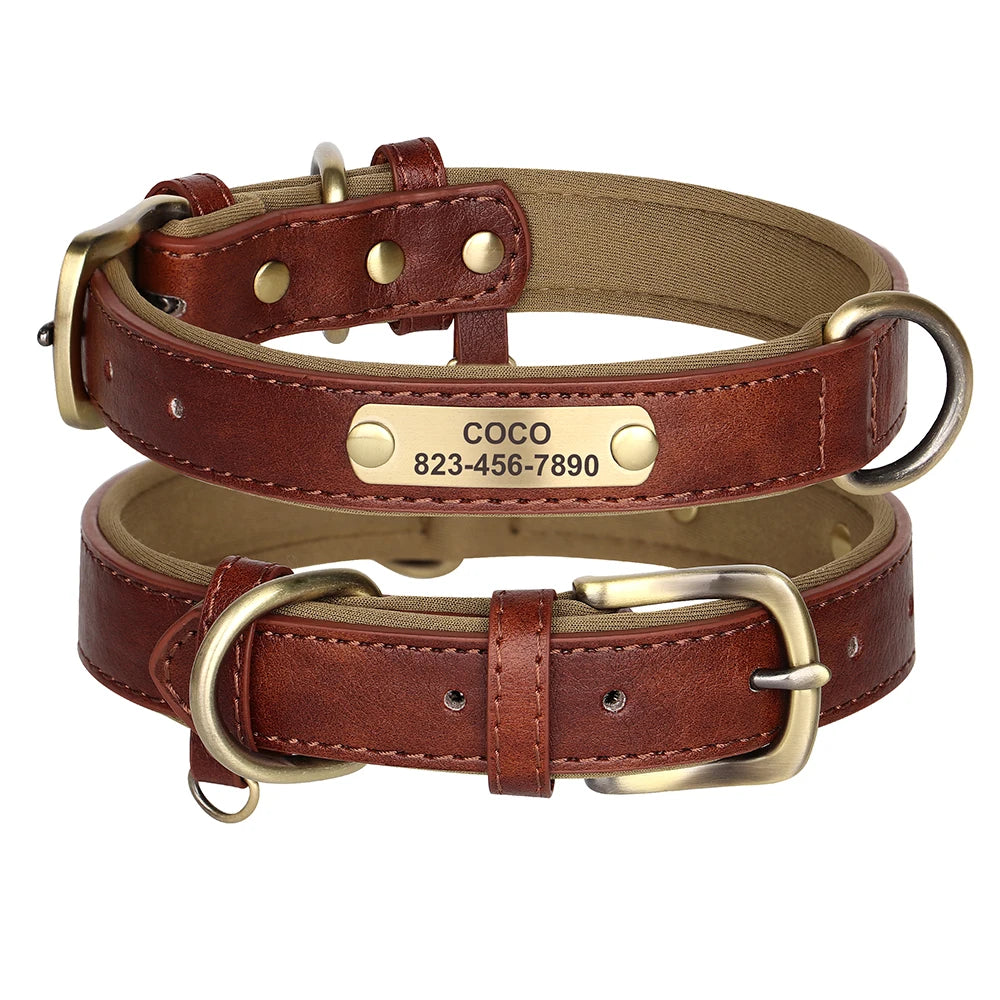 Collier en cuir marron pour chien avec plaque gravée dorée et boucle métal vieilli sur fond blanc.