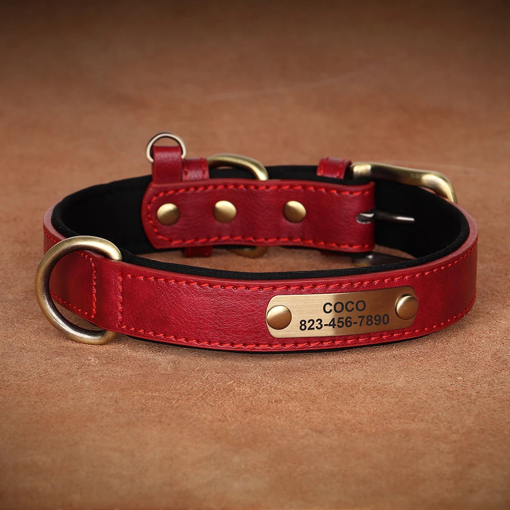 Collier en cuir rouge pour chien avec plaque gravée dorée sur fond brun.