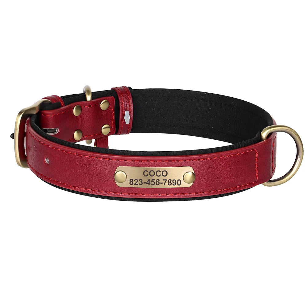 Collier en cuir rouge pour chien avec plaque gravée dorée sur fond clair.