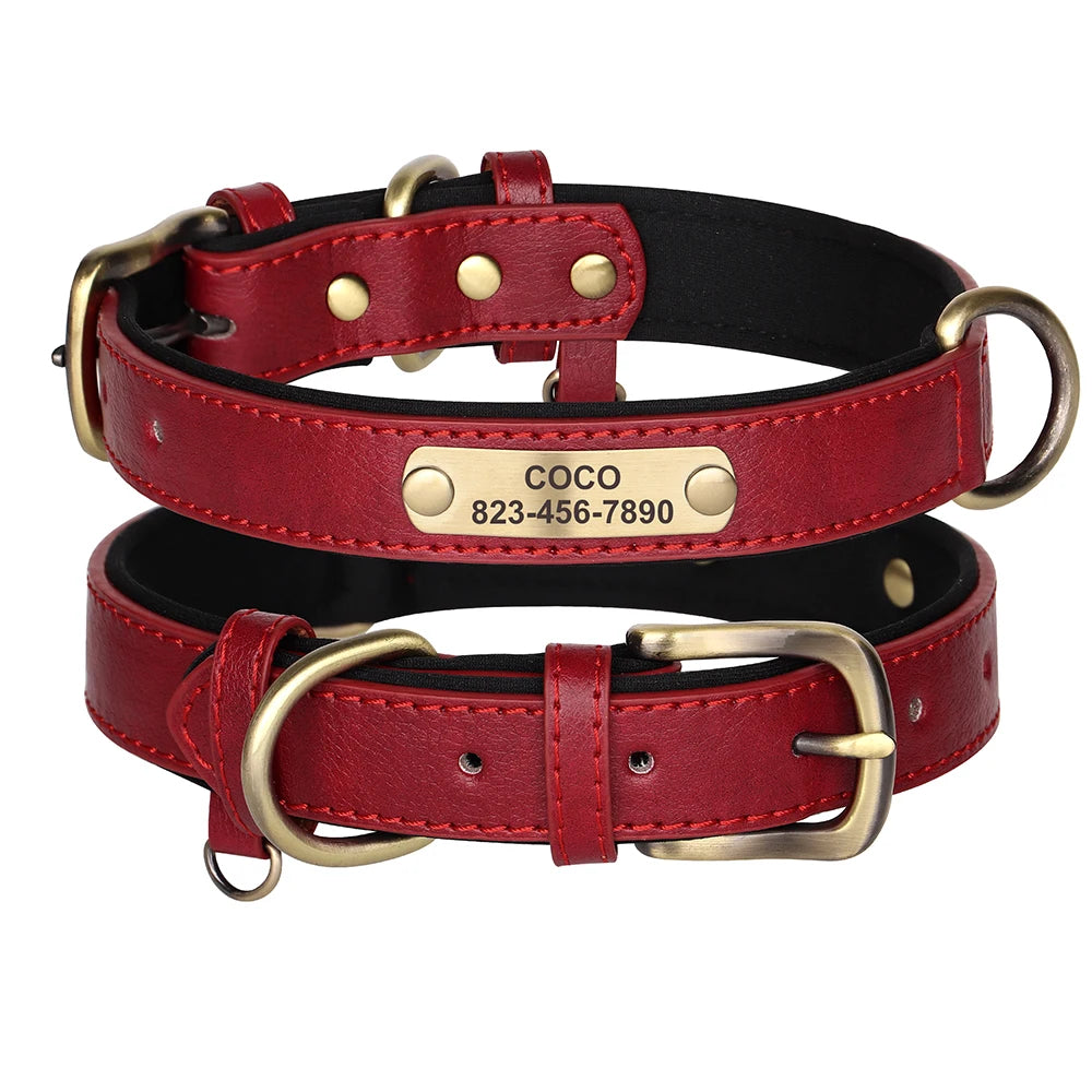 Collier en cuir rouge pour chien avec doublure noire et plaque gravée dorée sur fond blanc.