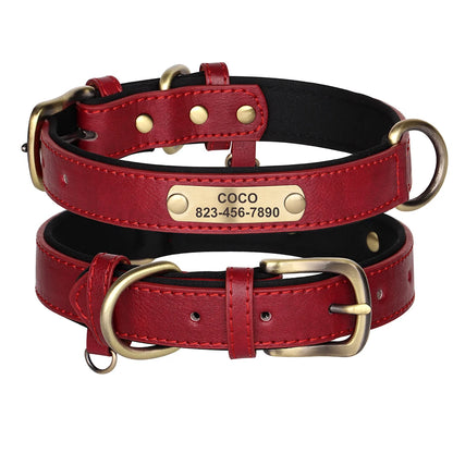 Collier en cuir rouge pour chien avec doublure noire et plaque gravée dorée sur fond blanc.
