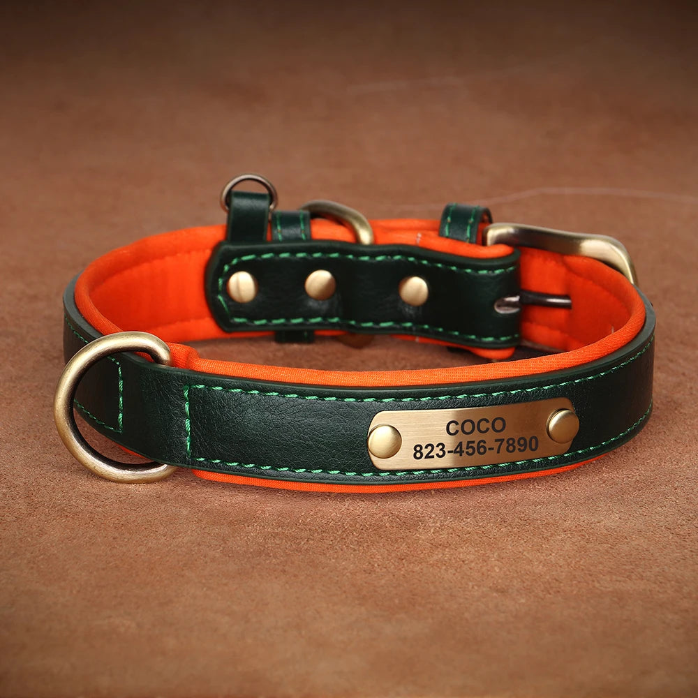 Collier en cuir vert pour chien avec plaque gravée dorée présenté sur fond brun.